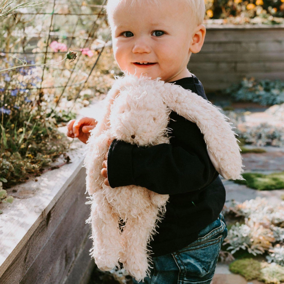 Harey the Bunny - Bunnies By The Bay