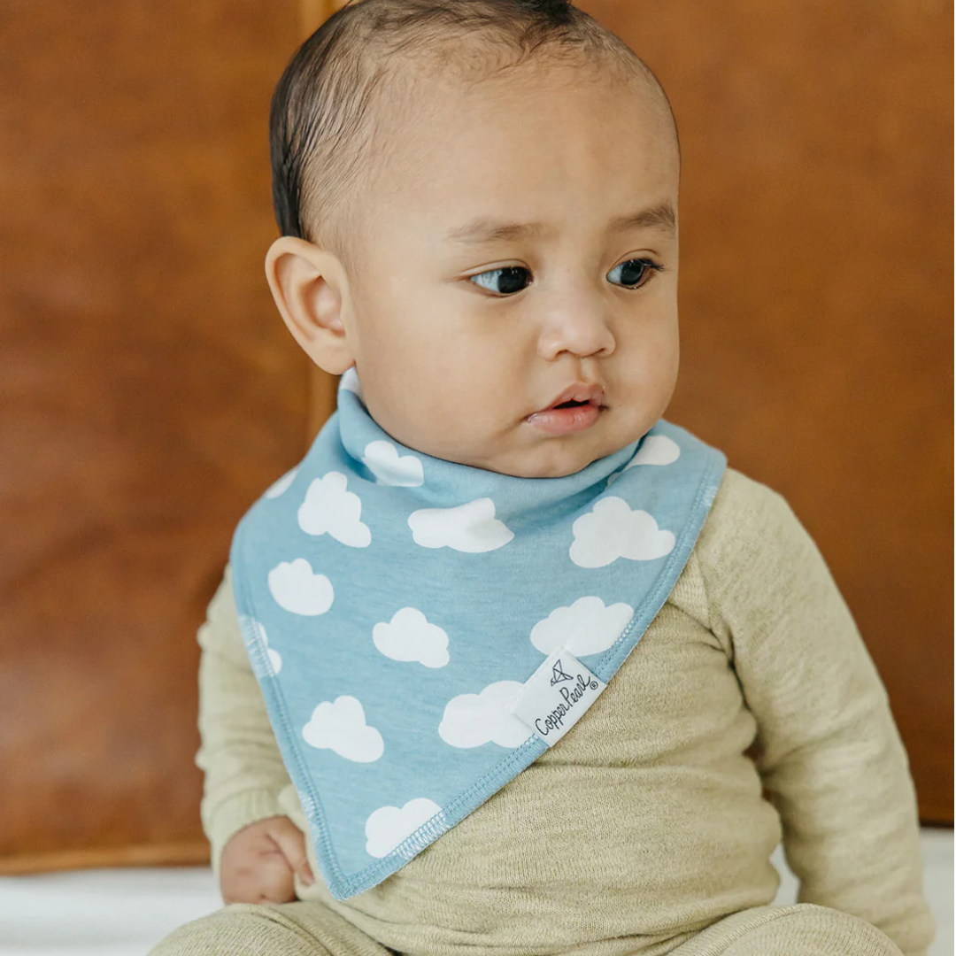 Farmstead Bandana Bibs - Copper Pearl