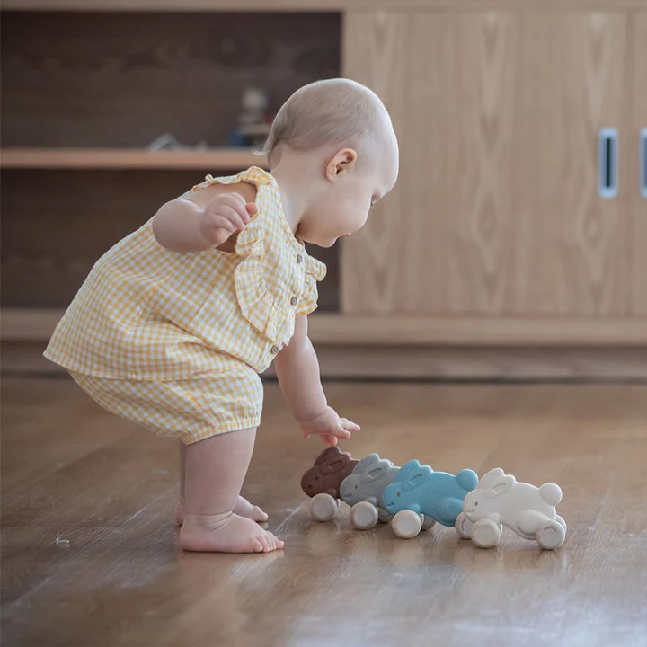 Brown Push Along Bunny - Plan Toys