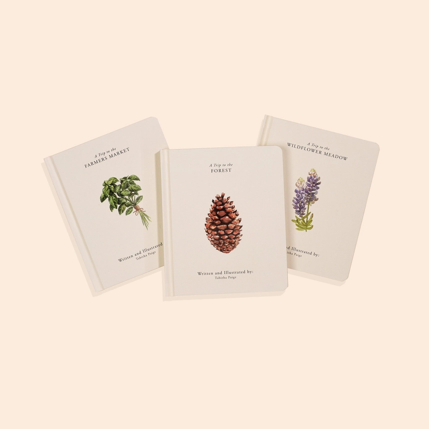 Our Little Adventures Box Set - Paige Tate & Co