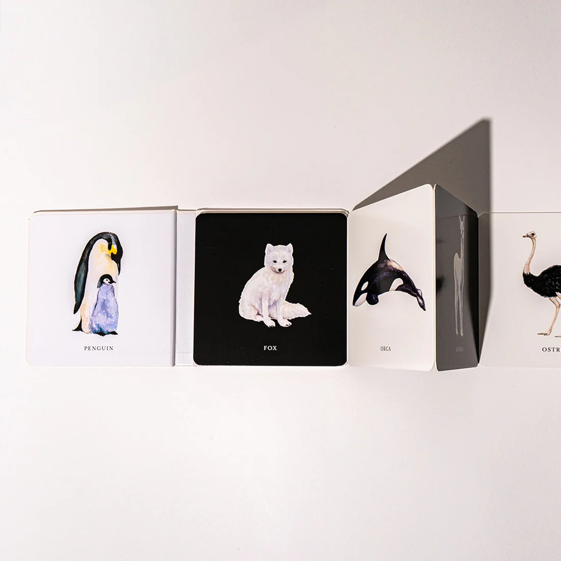 Black and White Contrast Book - Paige Tate & Co