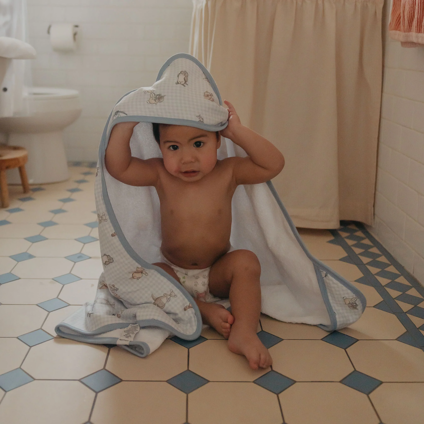 Winnie The Pooh & Friends Hooded Towel - Copper Pearl