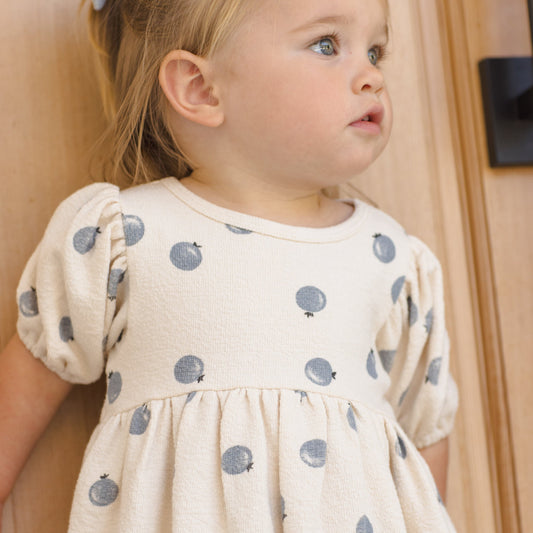 Blueberries Darla Dress - Quincy Mae