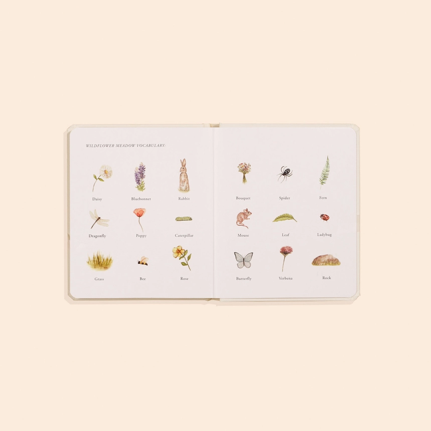 Our Little Adventures Box Set - Paige Tate & Co