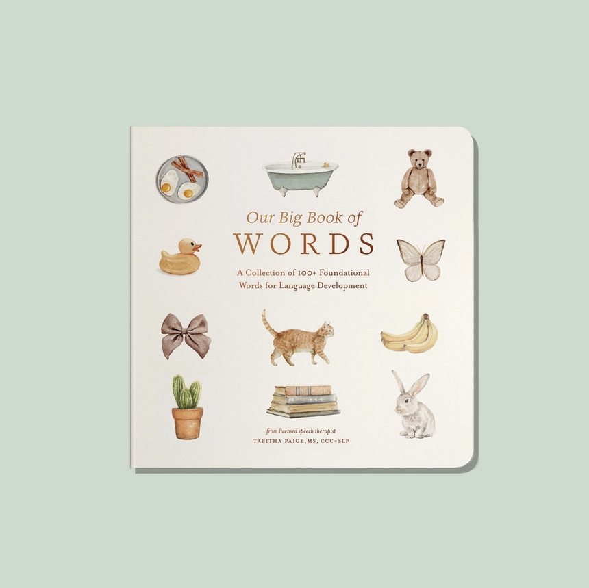 Our Big Book of First Words - Paige Tate & Co