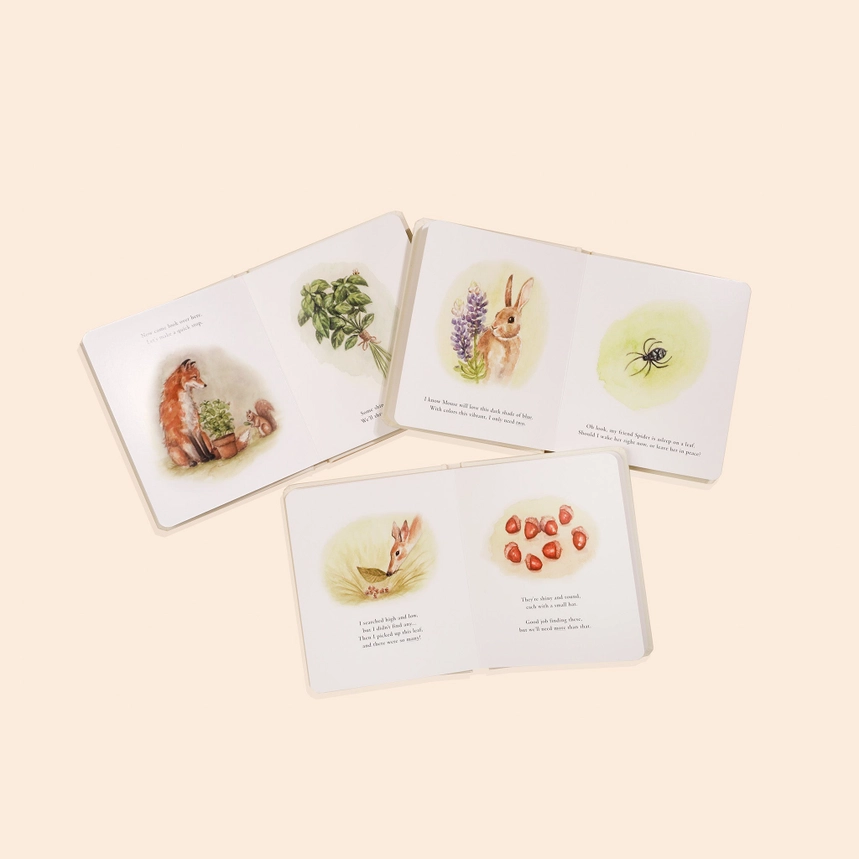 Our Little Adventures Box Set - Paige Tate & Co