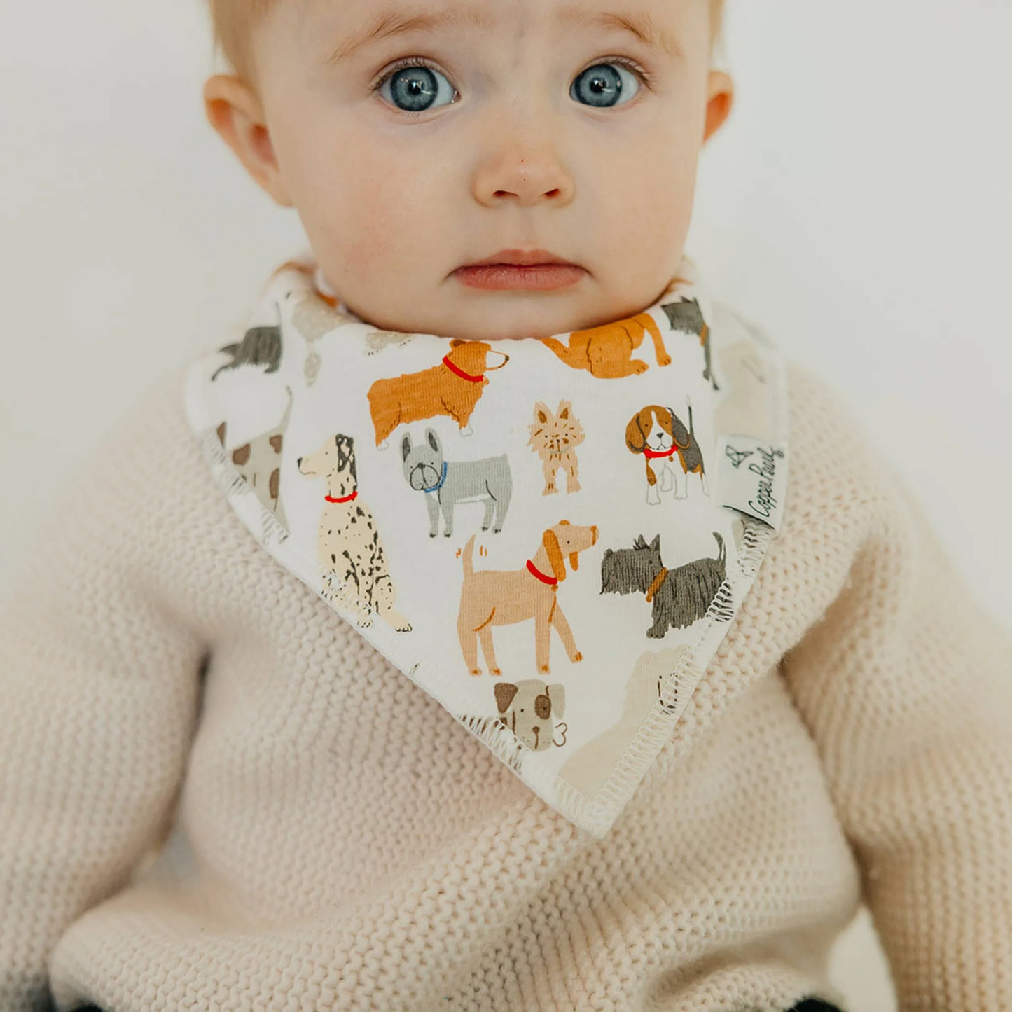 Rufus Bandana Bib Set (4 pack) - Copper Pearl