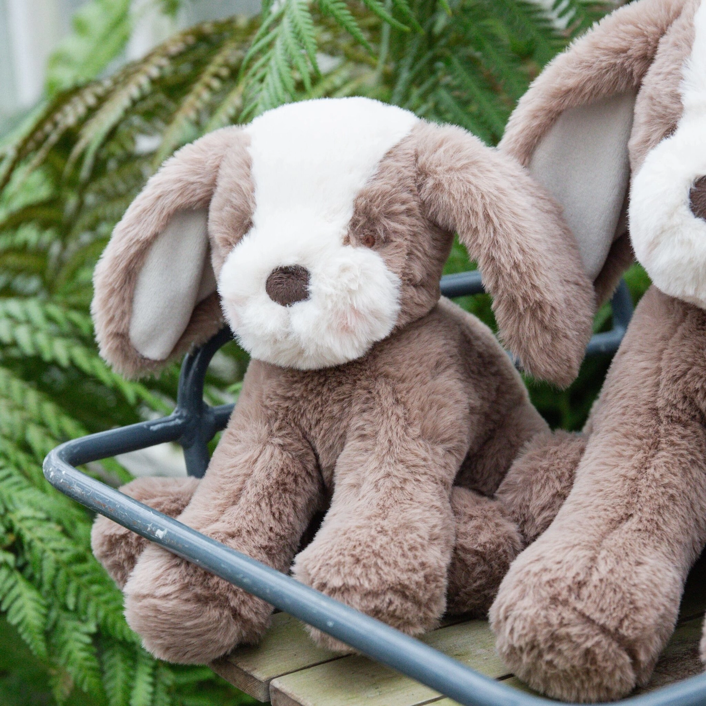 Toffee Floppy Mutt - Bunnies By The Bay