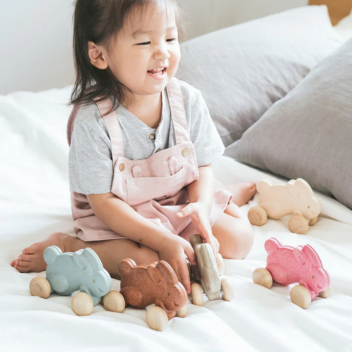 Push Along Bunny - Plan Toys