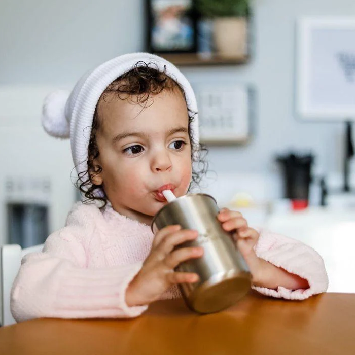 8oz Stainless Steel Insulated Kids Cup - Avanchy