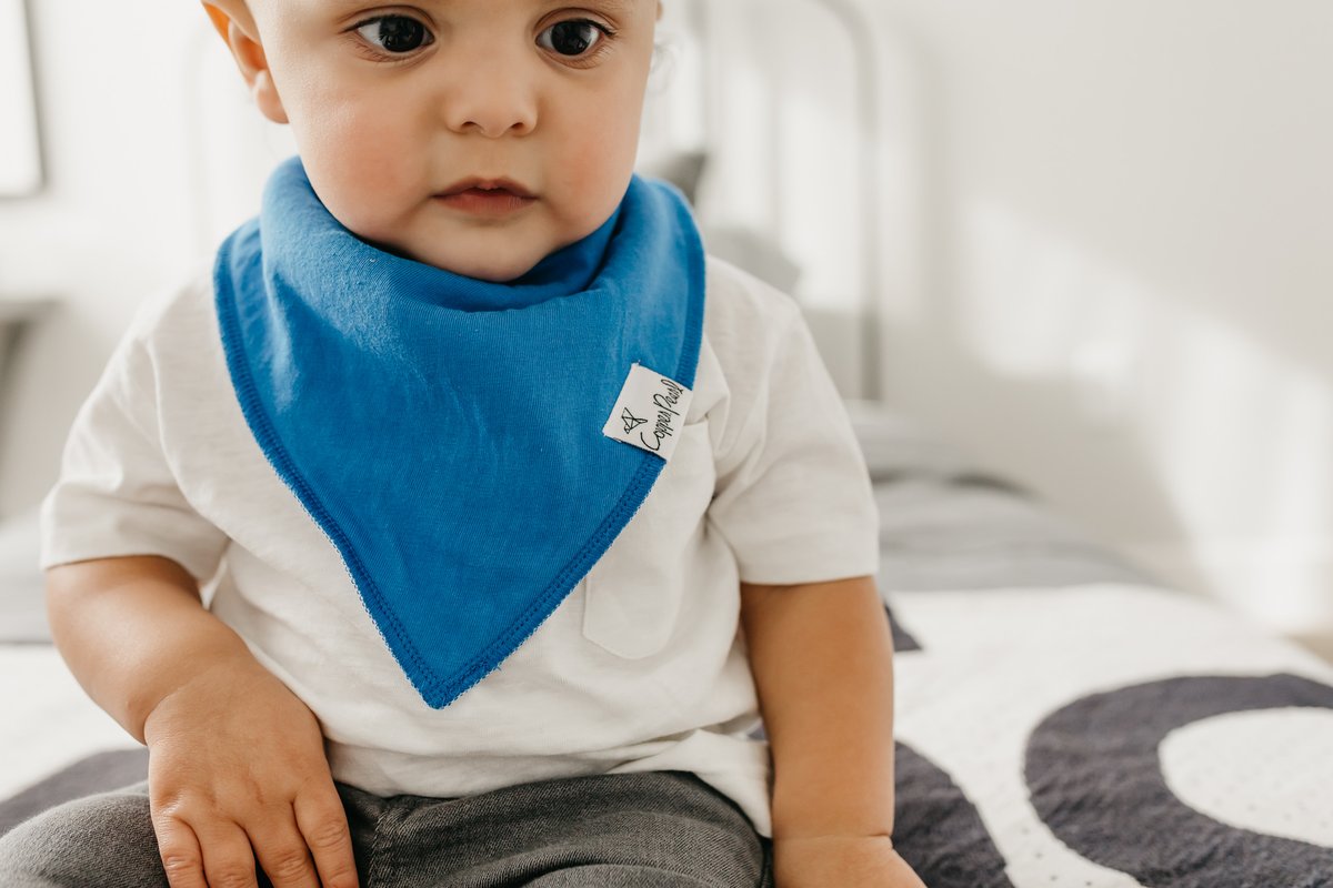 Nash Bandana Bib Set (4 pack) - Copper Pearl
