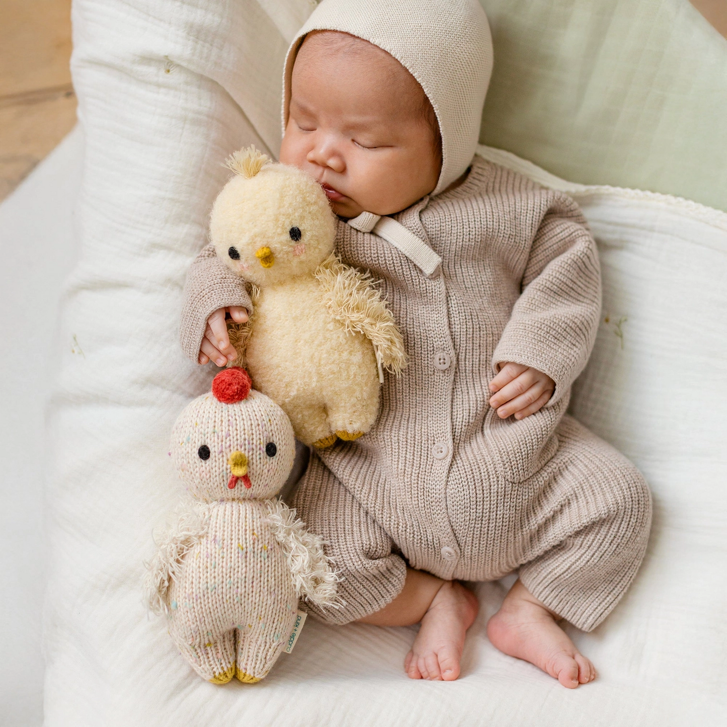 Baby Chicken - Cuddle + Kind