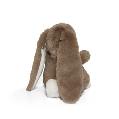 Ginger Snap 8" Tiny Nibble Bunny - Bunnies By The Bay