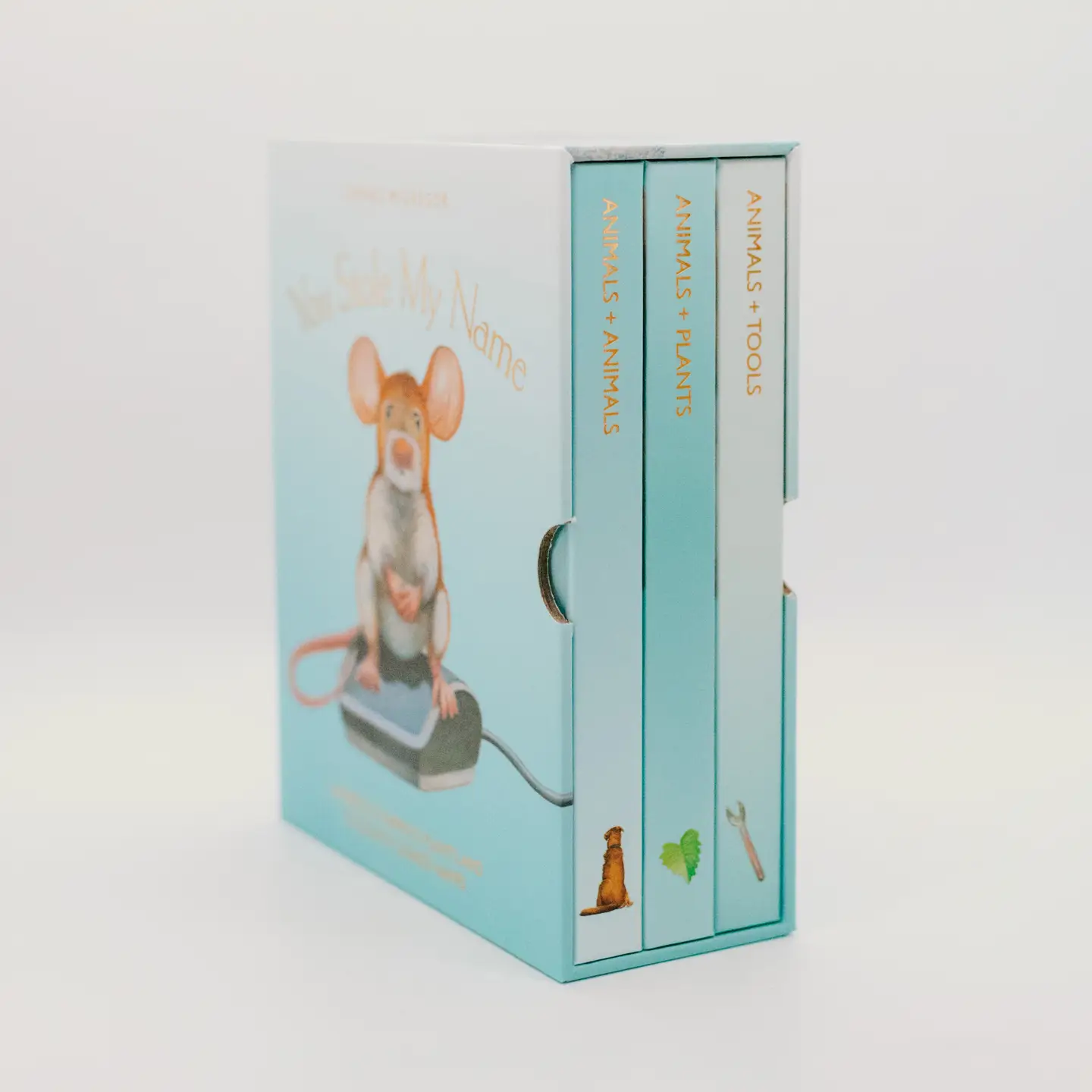 You Stole My Name Box Set - Dennis McGregor