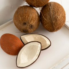 Coco the Coconut - Oli & Carol