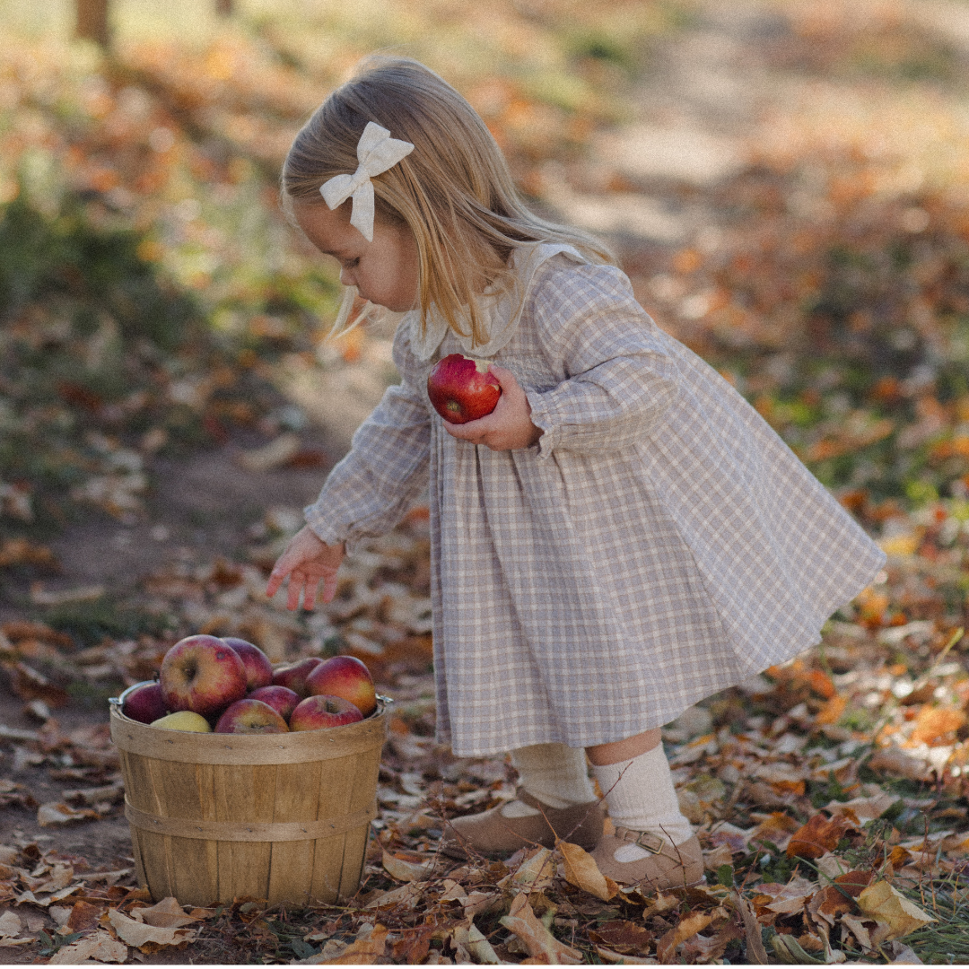 Blue Gingham Callie Dress - Quincy Mae