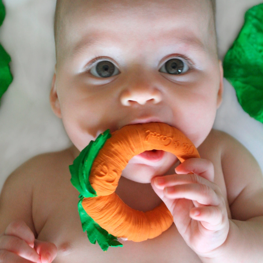 Cathy the Carrot Teether - Oli & Carol
