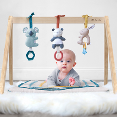 Bitzy BeSpoke Activity Gym - Itzy Ritzy