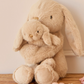 Frankie the Hugging Bunny - Snuggle Bunnies