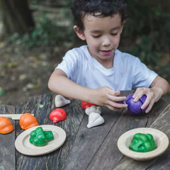 Veggie Set (5 color) - Plan Toys