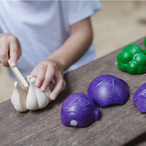 Veggie Set (5 color) - Plan Toys