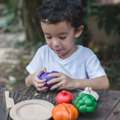 Veggie Set (5 color) - Plan Toys