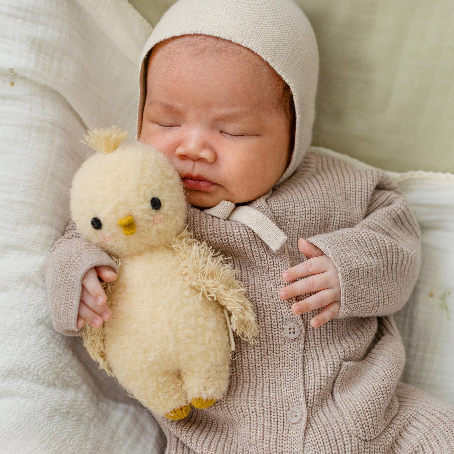 Baby Boulce Chick - Cuddle + Kind
