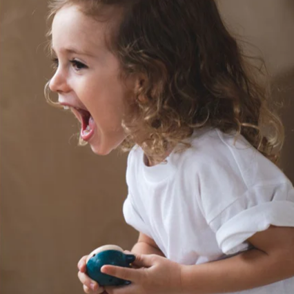 Whale Whistle - Plan Toys