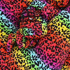 Lisa Leopard Ruffle Zip - Gigi & Max