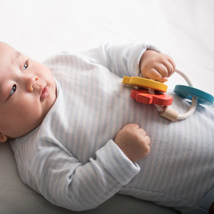 Baby Key Rattle - Plan Toys