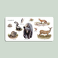 Our Big Book of Animals - Paige Tate & Co