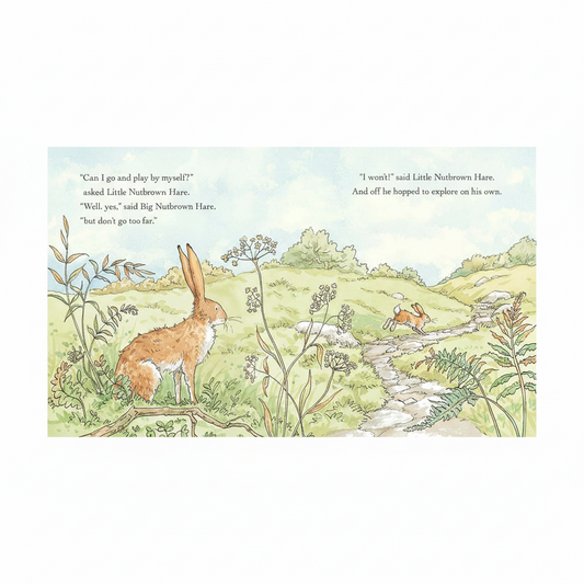 Will You Be My Friend? Board Book - Sam McBratney