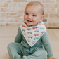 Dino Explorer Bandana Bibs - Copper Pearl