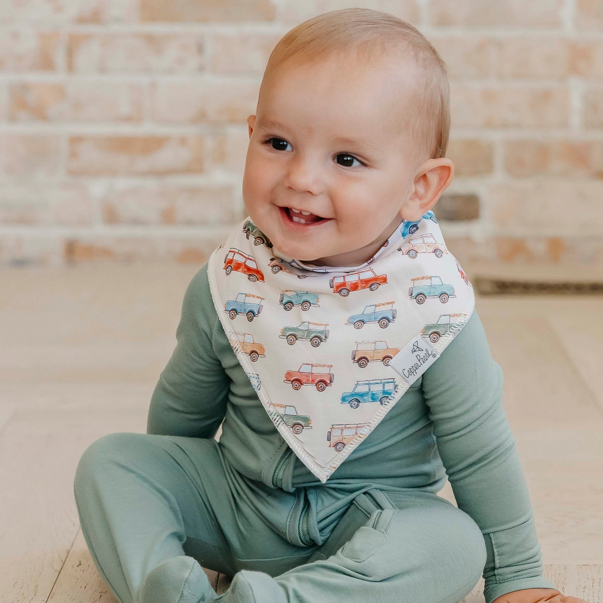 Dino Explorer Bandana Bibs - Copper Pearl