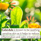 Sensitive Diaper Rash Cream  - Babo Botanicals