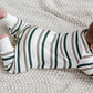 Trevor Stripe Aspen Romper - Colored Organics