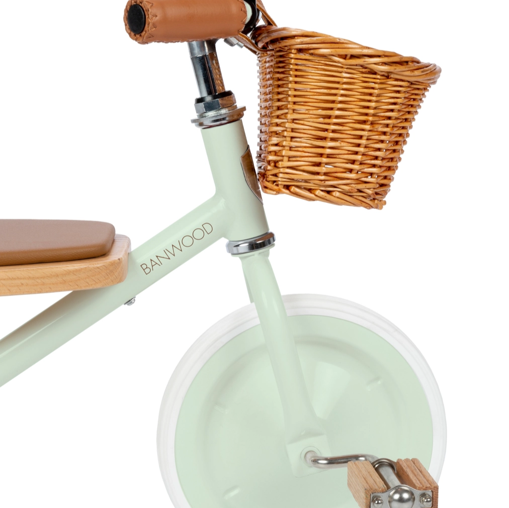 Pale Mint Vintage Trike - Banwood Inc