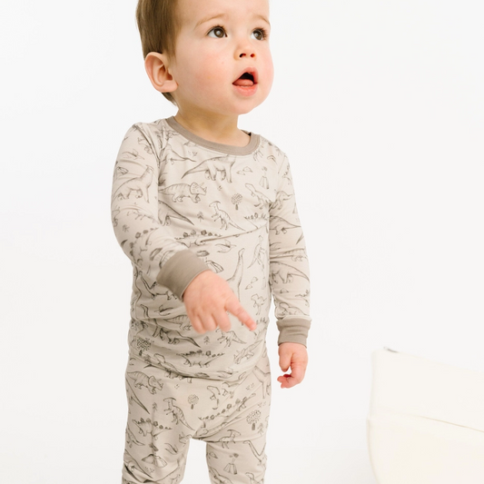 Dino Doodles Set - Little One Shop