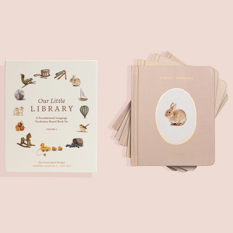 Our Little Library Set - Paige Tate & Co