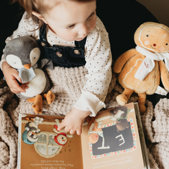 Elf-A-Mentary School Board Book - Bunnies By The Bay