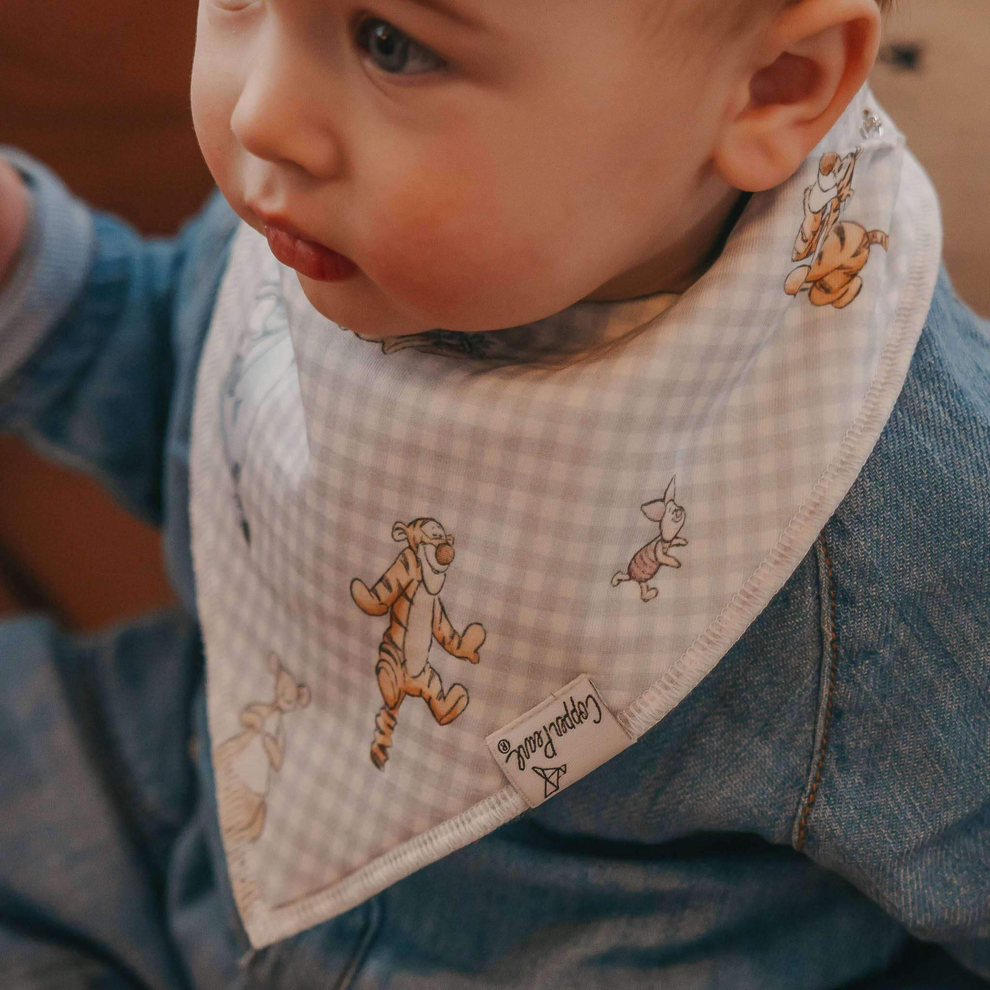 Hundred Acre Woods Bandana Bib Set (4 pack) - Copper Pearl
