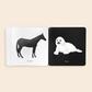 Black and White Contrast Book - Paige Tate & Co