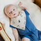 Artic Bandana Bib Set (4 pack) - Copper Pearl