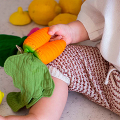 Cathy the Carrot Mini DouDou Teether - Oli & Carol