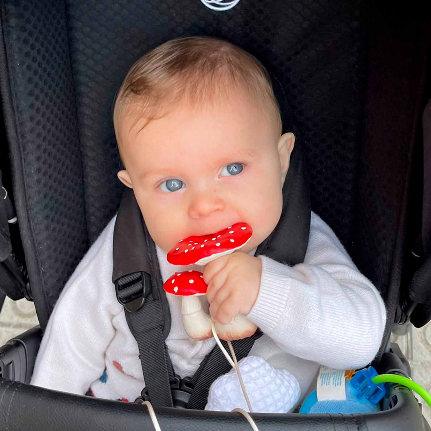 Spot the Mushroom Teether - Oli & Carol