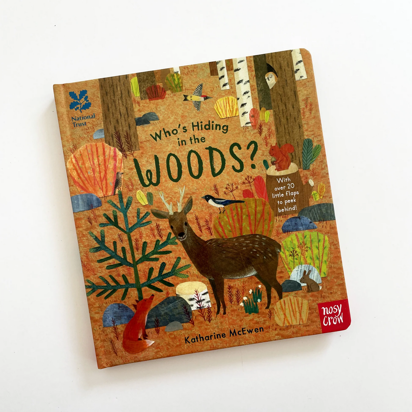 Who's Hiding In The Woods? Book - Katharine McEwen