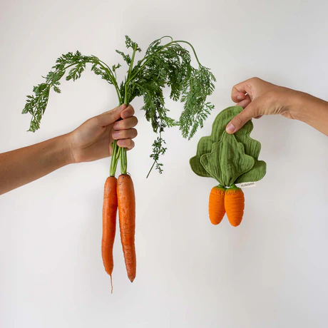 Cathy the Carrot Mini DouDou Teether - Oli & Carol