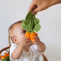 Cathy the Carrot Mini DouDou Teether - Oli & Carol