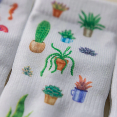 Carribean Collection - Squid Socks