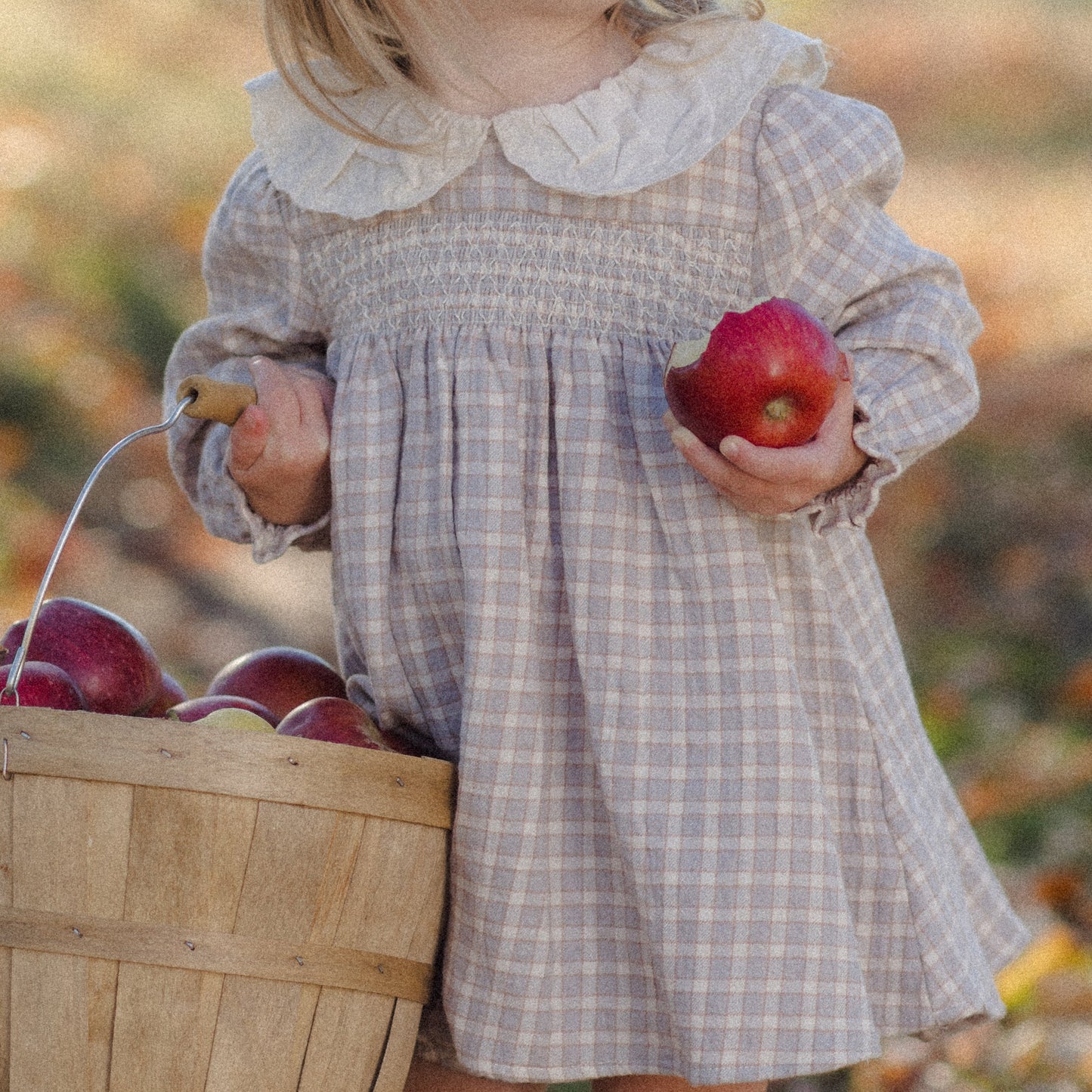 Blue Gingham Callie Dress - Quincy Mae
